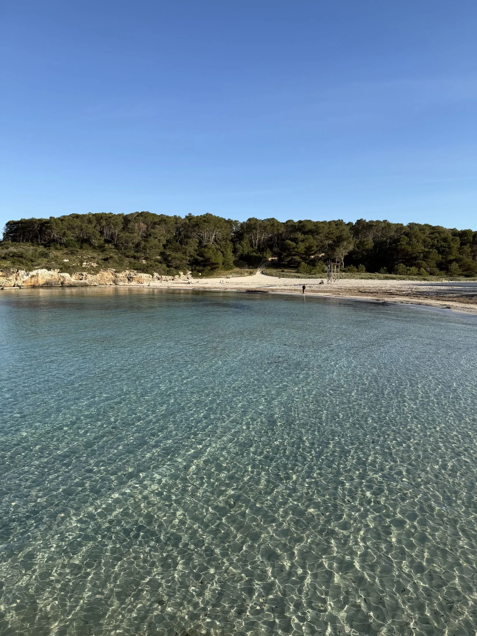 Klares Wasser über dem Sand der Cala Mondragó im April, leeres Ufer und Kiefernwald im Hintergrund.