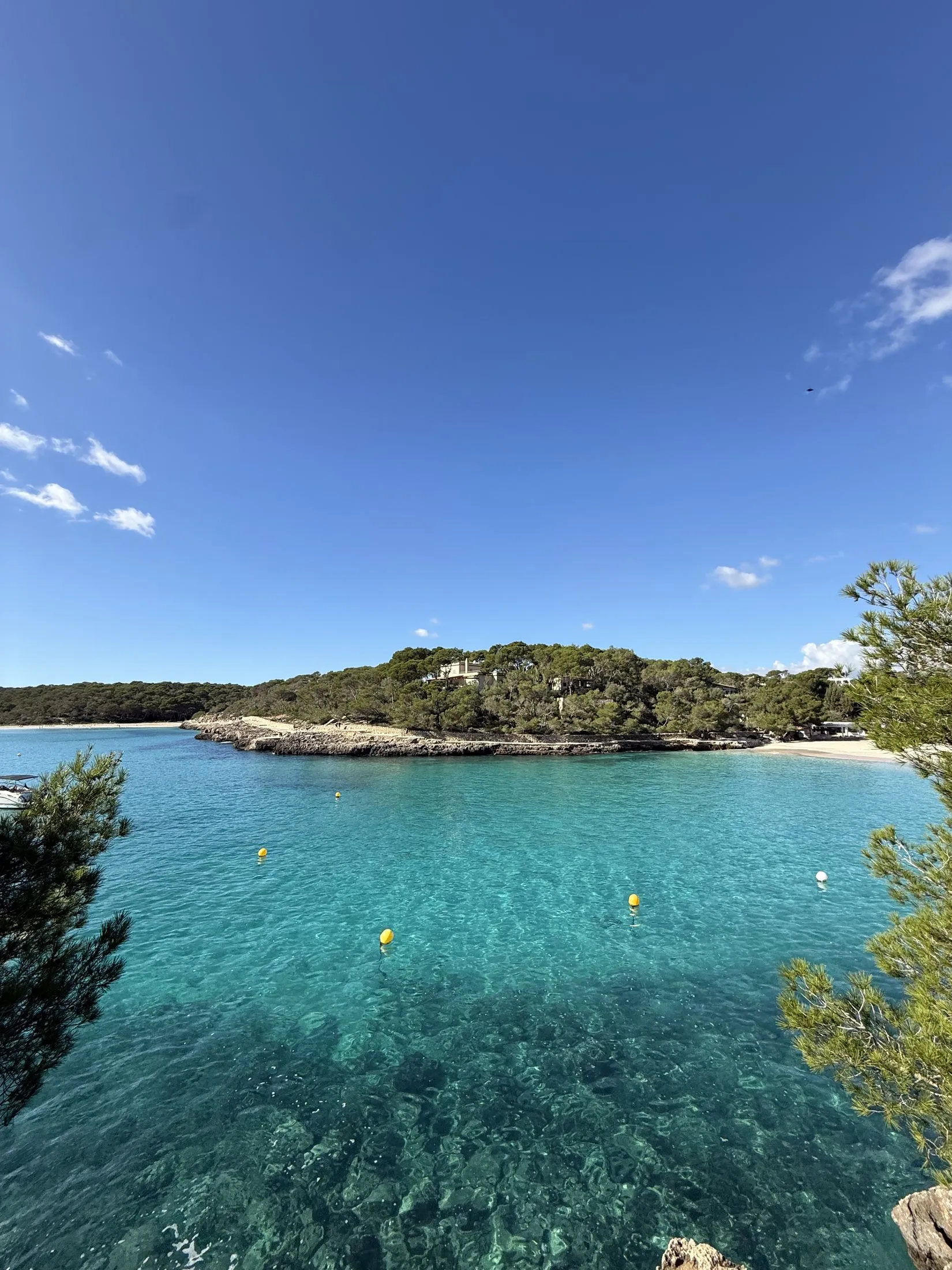 Die Bucht von Cala Mondragó im November, türkisfarbenes Wasser und leerer Sand, vom Kiefernwald aus gesehen.